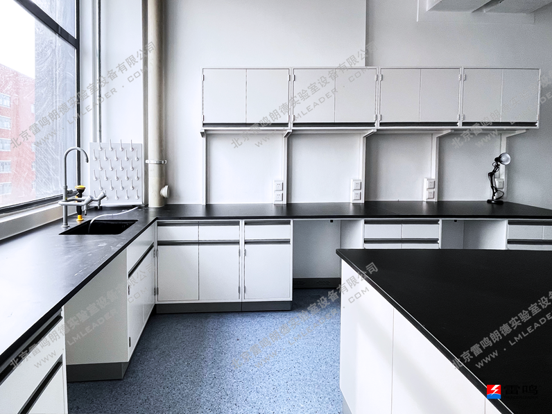 2026-3-16  网站.png